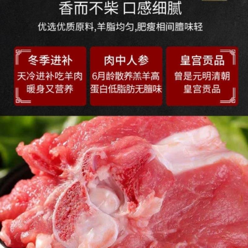 内蒙古新鲜羊蝎子批发现杀羊脊骨即时多肉火锅食材正宗羊骨头