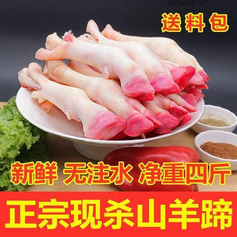 厂家新鲜生羊蹄冷冻羊脚蹄小羊蹄带筋羊蹄山羊蹄子