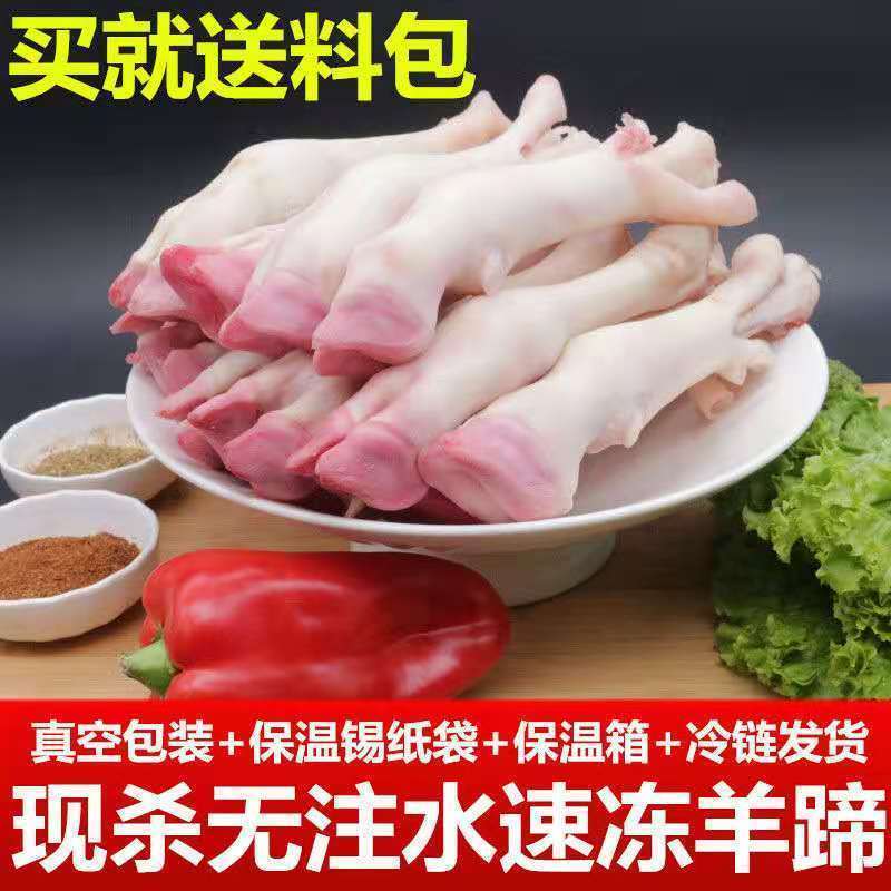 厂家新鲜生羊蹄冷冻羊脚蹄小羊蹄带筋羊蹄山羊蹄子