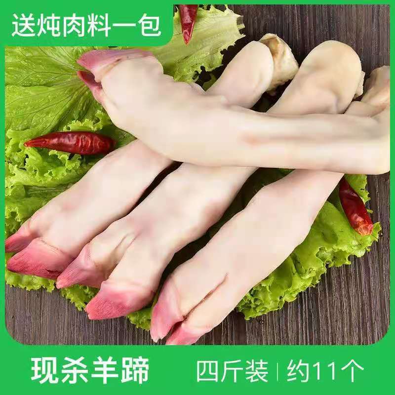 厂家新鲜生羊蹄冷冻羊脚蹄小羊蹄带筋羊蹄山羊蹄子