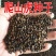 爬山虎种子爬墙的种籽爬墙虎种子爬藤植物攀爬植物种子常绿耐