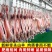 【新鲜宰杀】新鲜去骨羊腿肉生羊肉羊肉批发火锅烧烤食材微调
