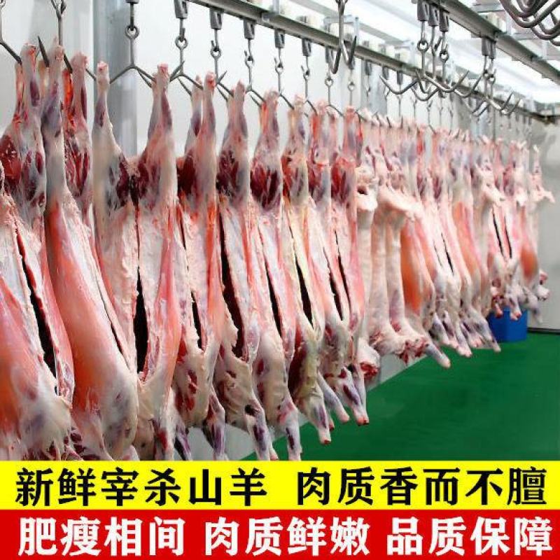 【新鲜宰杀】新鲜去骨羊腿肉生羊肉羊肉批发火锅烧烤食材微调