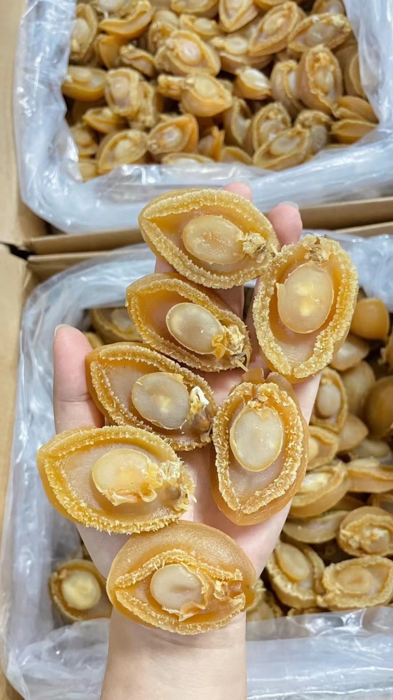 鲍鱼干大连鲍鱼精品淡干小鲍鱼色泽金黄个头饱满批发一手货源