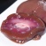 新鲜去油净羊腰子冷冻新鲜羔羊肾生羊肉内腰烧烤爆炒山羊腰子