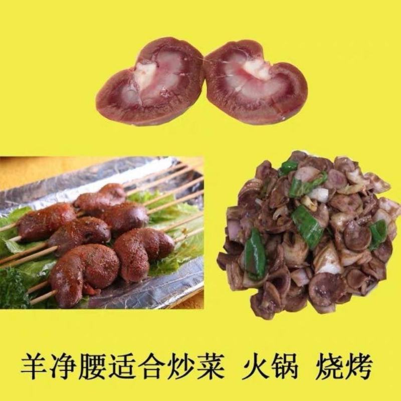 新鲜去油净羊腰子冷冻新鲜羔羊肾生羊肉内腰烧烤爆炒山羊腰子