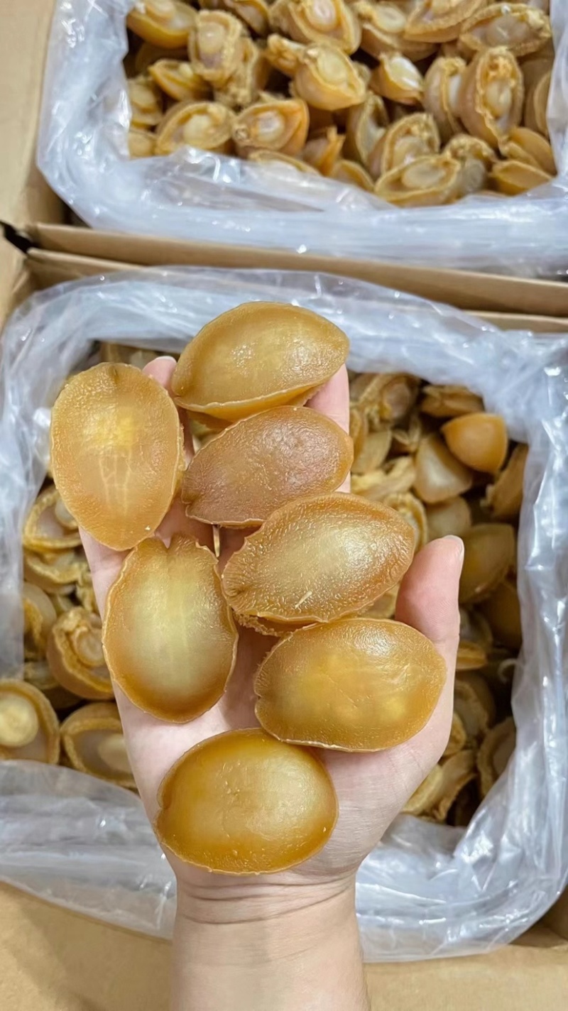 鲍鱼干大连鲍鱼精品淡干小鲍鱼色泽金黄个头饱满批发一手货源