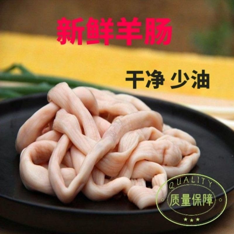 新鲜羊肠生羊肠羊杂羊肠小肠无油少油生羊肥肠羊下水羊羊肚羊