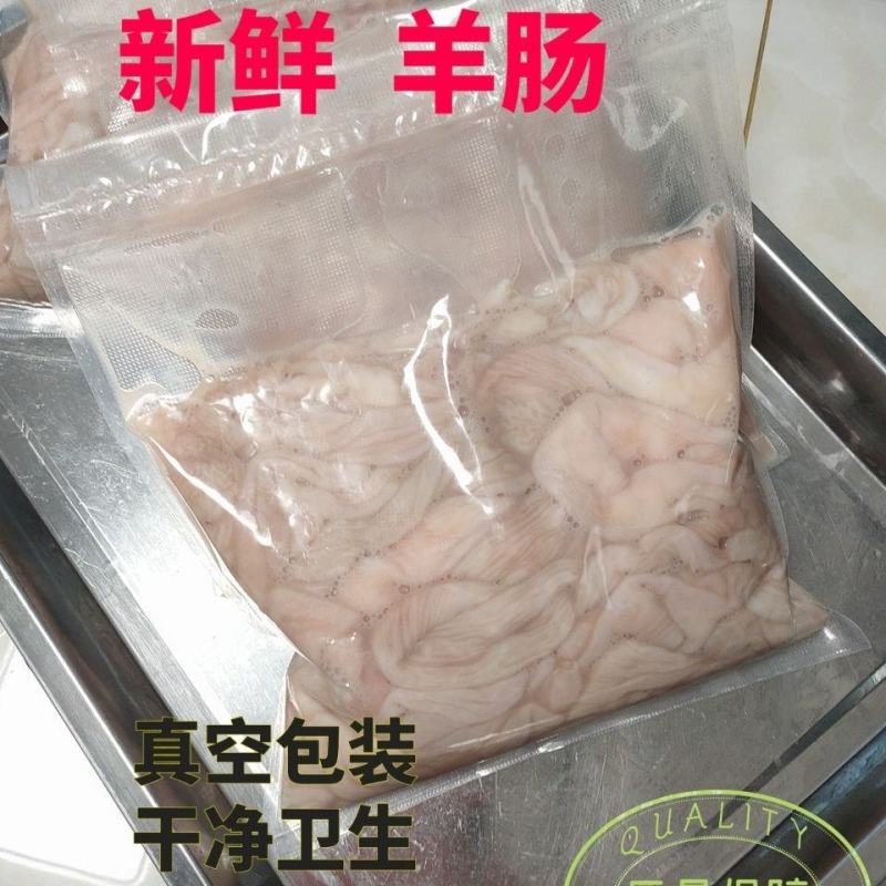 新鲜羊肠生羊肠羊杂羊肠小肠无油少油生羊肥肠羊下水羊羊肚羊