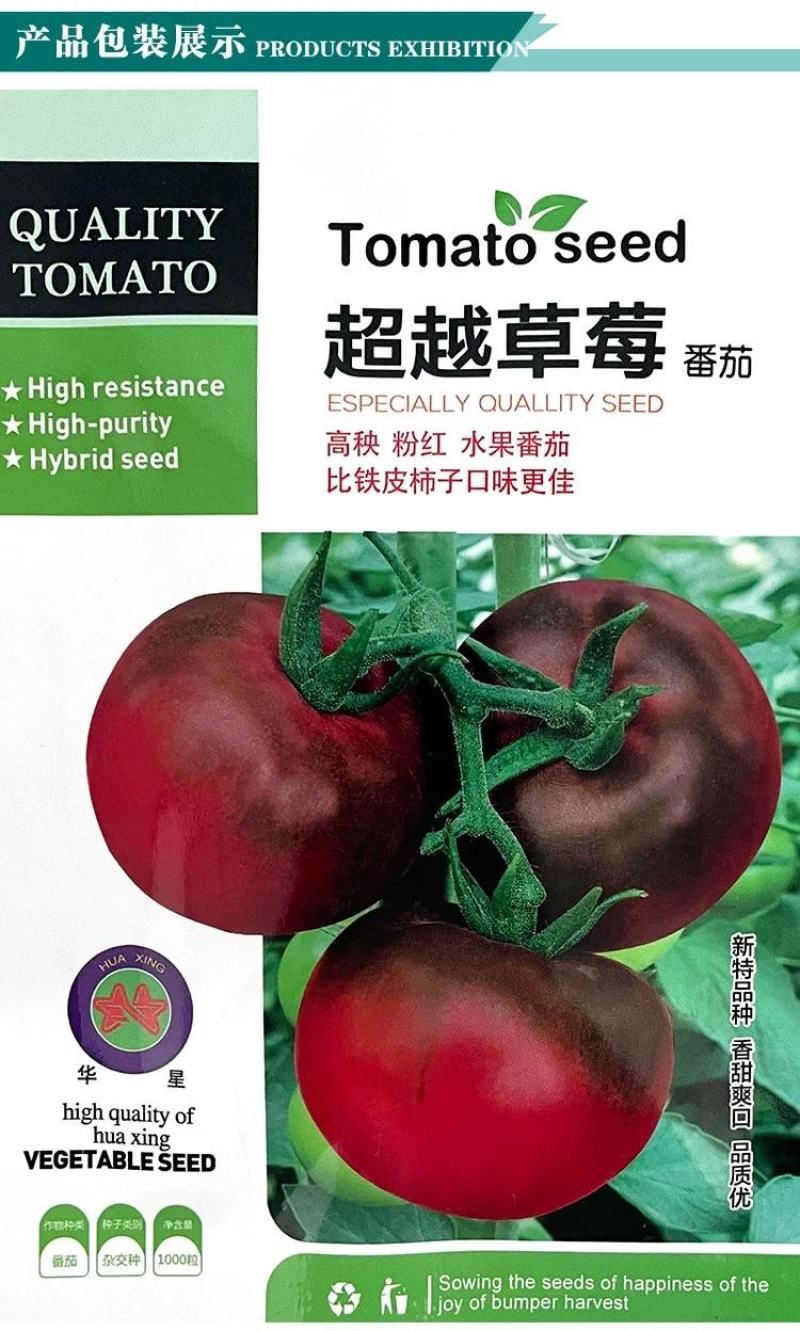 草莓番茄种子高秧比铁皮好水果型番茄种籽西红柿籽春秋种植
