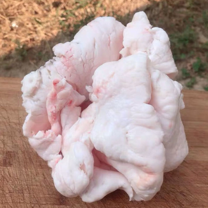 (当天现杀)羊板油羊尾油羊腰油新鲜生羊油烧烤熬辣椒油火锅
