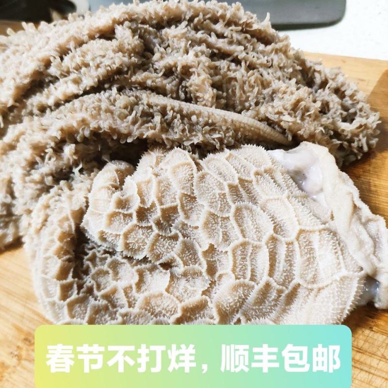 【工厂直】【产地直】山羊毛肚生毛肚新鲜毛肚包邮