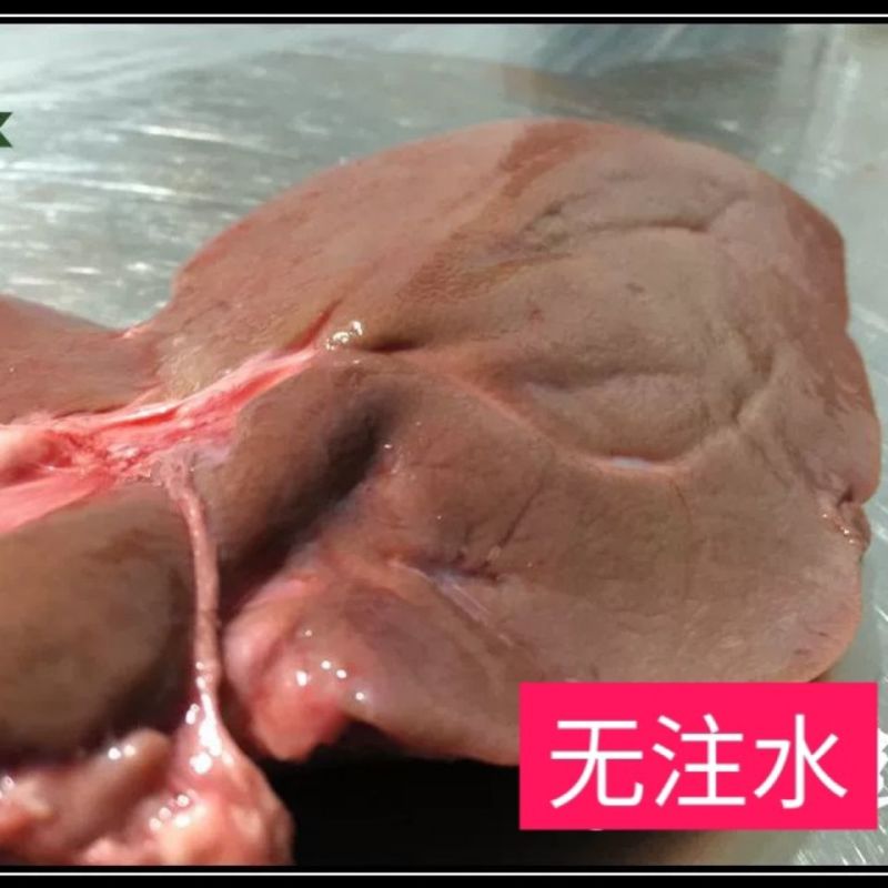 【山羊肝】新鲜山羊肝羊肺肝无注水无添加羊杂羊下水羊肝包邮