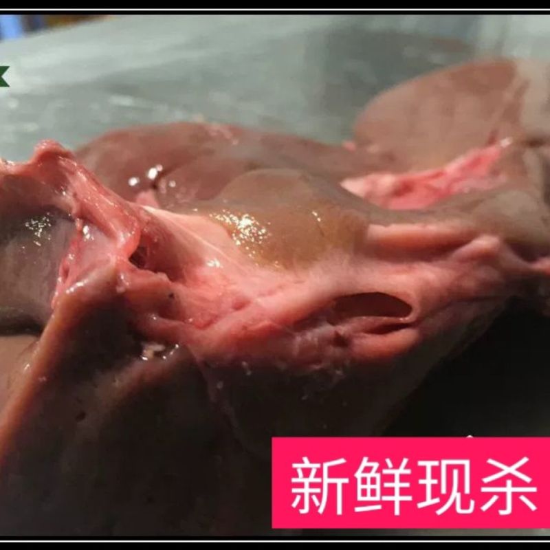 【山羊肝】新鲜山羊肝羊肺肝无注水无添加羊杂羊下水羊肝包邮