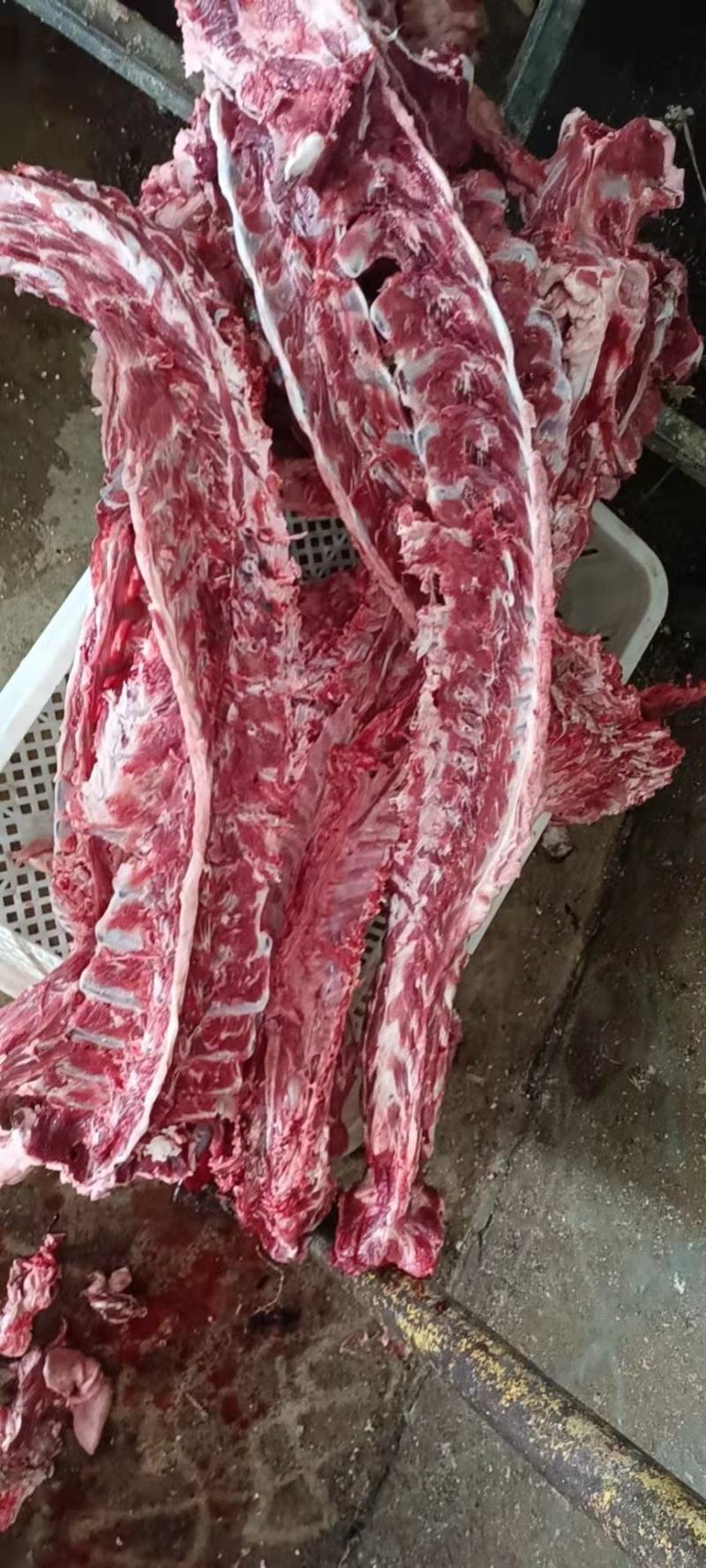 新鲜羊蝎子锯断4一斤羊脊骨可发样品全国发货