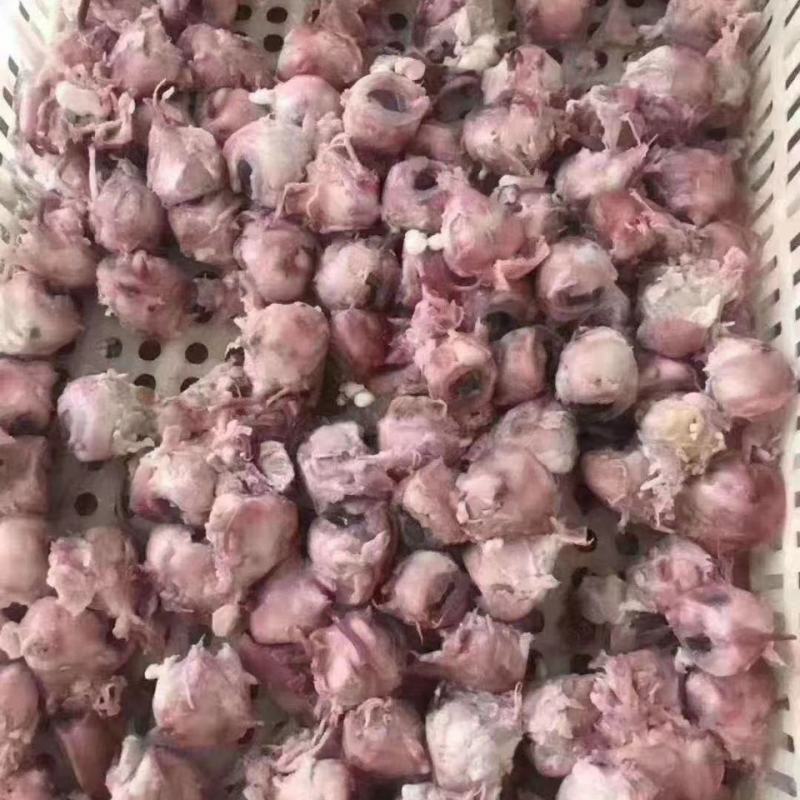 【厂家直】羊眼新鲜羊眼清真羊眼烧烤火锅店食材包邮