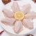 【特价】鸡翅中批发散养活杀鲜冻鸡中翅可乐鸡翅烧烤自助食堂