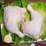 新鲜冷冻鸡边腿生鸡腿鸡大腿生鲜鸡腿肉琵琶腿冷冻鸡腿手枪腿