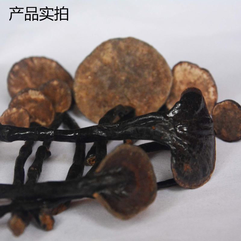 【野生竹灵芝】无硫野生灵芝竹灵芝500克袋装当季新货包邮