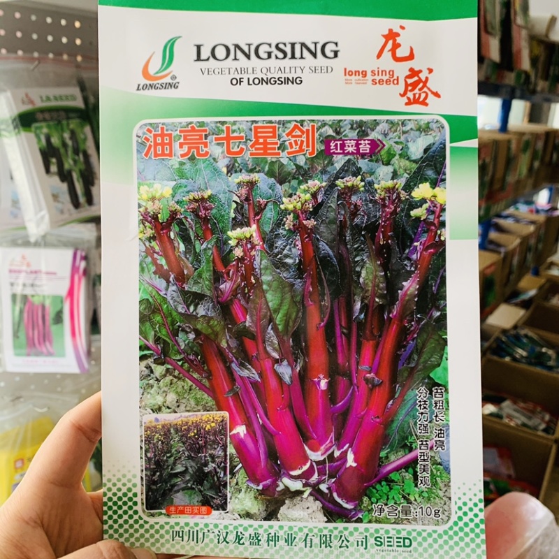 龙盛油亮七星剑红菜苔种子油亮紫红，质细腻味清香略微苦