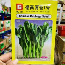 德高青苔1号菜苔种子早熟青菜苔种籽口感脆甜苔色翠绿