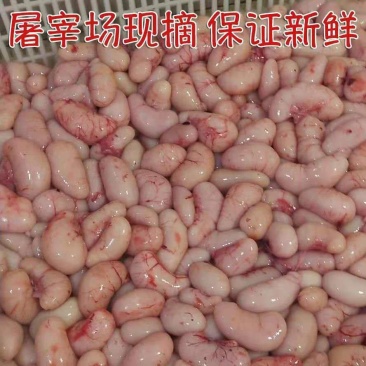 精品新鲜鸡肾鸡卵鸡腰子公鸡阉蛋鸡睾丸鸡宝鸡春1斤批发包邮