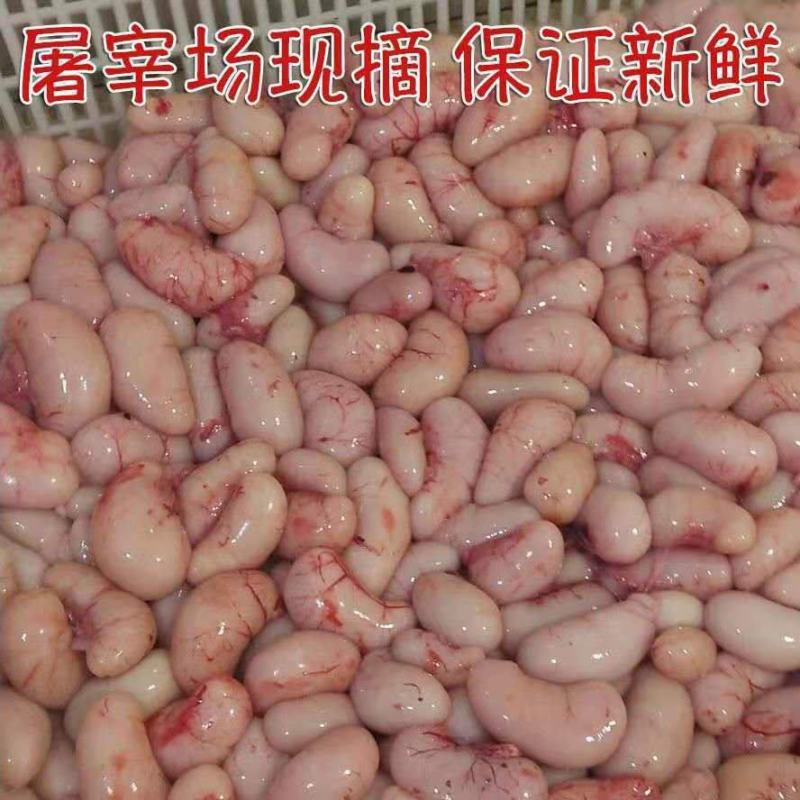 精品新鲜鸡肾鸡卵鸡腰子公鸡阉蛋鸡睾丸鸡宝鸡春1斤批发包邮