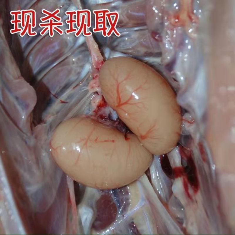 精品新鲜鸡肾鸡卵鸡腰子公鸡阉蛋鸡睾丸鸡宝鸡春1斤批发包邮