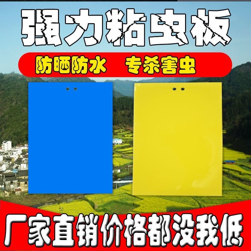 （买百送十）双面黄板果园专用蓝板贴蓟马白粉虱诱虫板粘飞虫