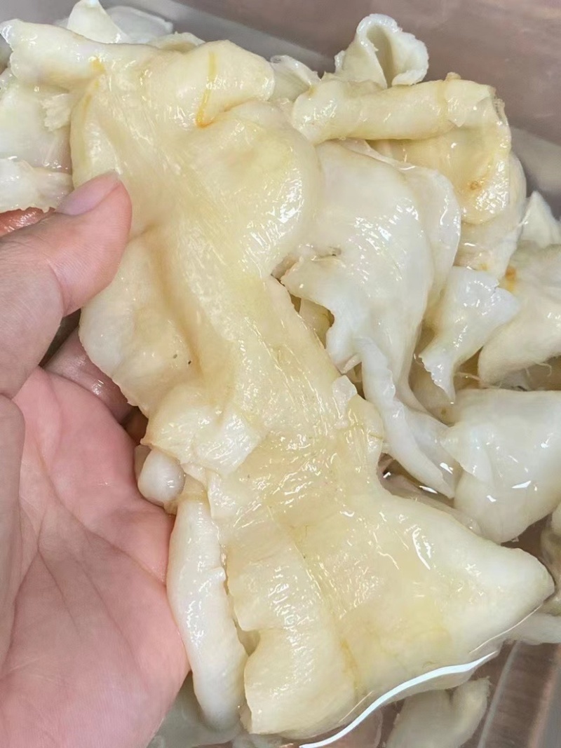 鳕鱼胶鱼胶花胶干货清水足干厚肉口感弹牙产地批发