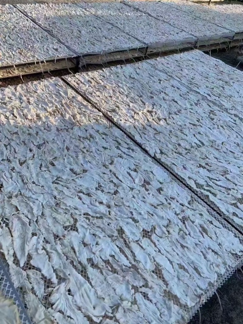 鳕鱼胶鱼胶花胶干货清水足干厚肉口感弹牙产地批发