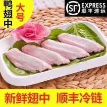 新鲜鸭翅鸭翅膀鸭中翅鸭翅中冷冻食品批发生鲜鸭翅烧烤卤菜火