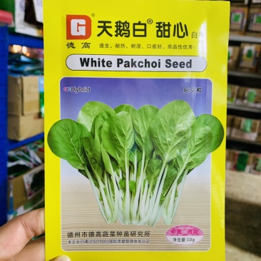 德高天鹅白甜心白菜种子速生小白菜种子耐热耐湿无刺毛