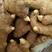 姜种批发368高产姜种专业技术指导保质保量全国发货