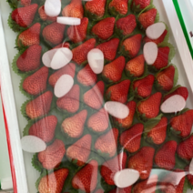 九九草莓，大量上市各种包装各种规格齐全，欢迎大家的到来