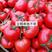 西红柿种子越夏耐热拱棚露天抗病毒极早熟白转红深亮粉