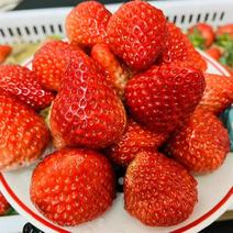 青浦红颜奶油草莓