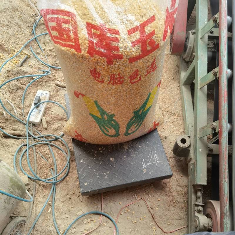 玉米