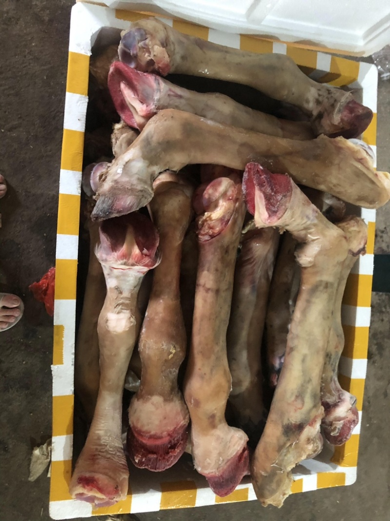 驴肉鲜货带皮驴肉鲜驴肉驴肉厂家直接发货手续齐全