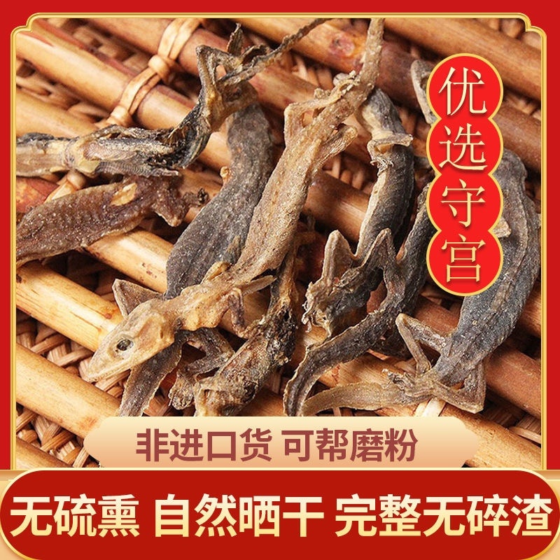 【优质商家】壁虎壁虎干天龙守宫一手货源