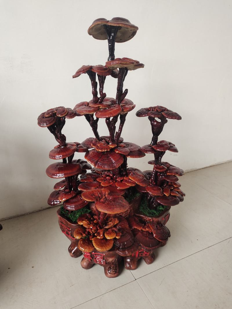 灵芝盆景，基地供应，一手货源，长期供应大小棵样式齐全