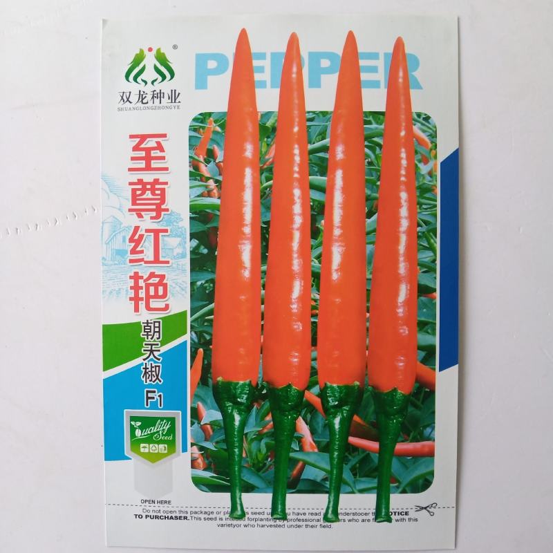 高辣518朝天椒种子杂交品种单生品种种子