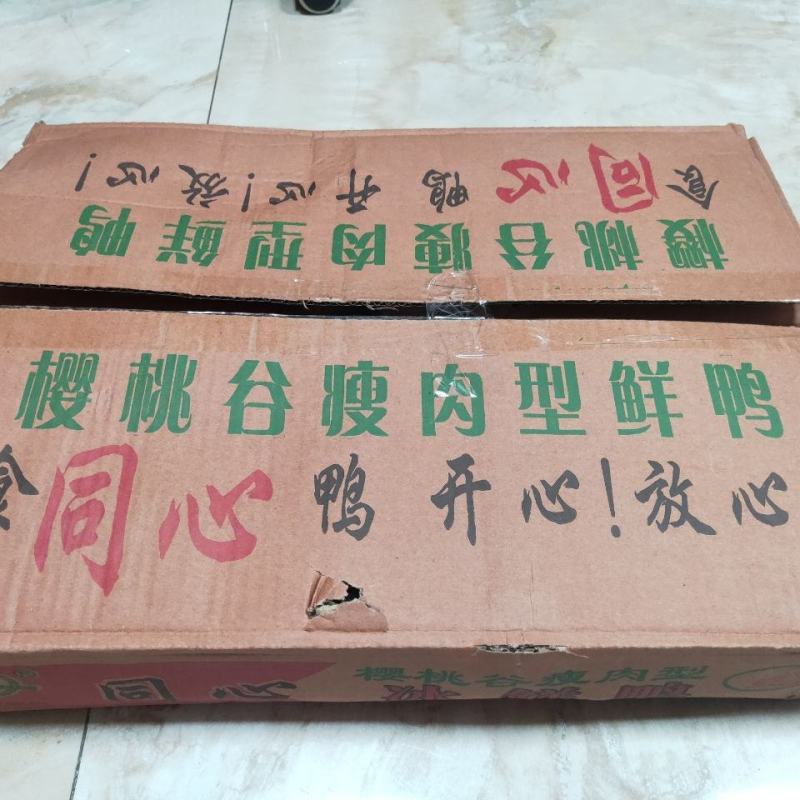 鸭胗新鲜冷冻小鸭胗24斤12包生鸭胗鸭内脏卤味红烧食材