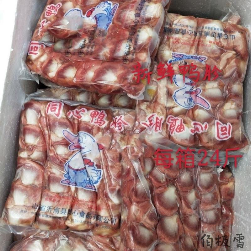 鸭胗新鲜冷冻小鸭胗24斤12包生鸭胗鸭内脏卤味红烧食材