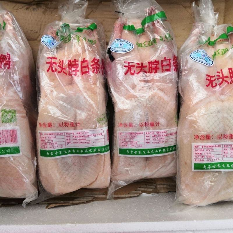 生鲜冷冻西装鸭光鸭去头去脖大光鸭瘦肉型西装白条鸭烤鸭型肉