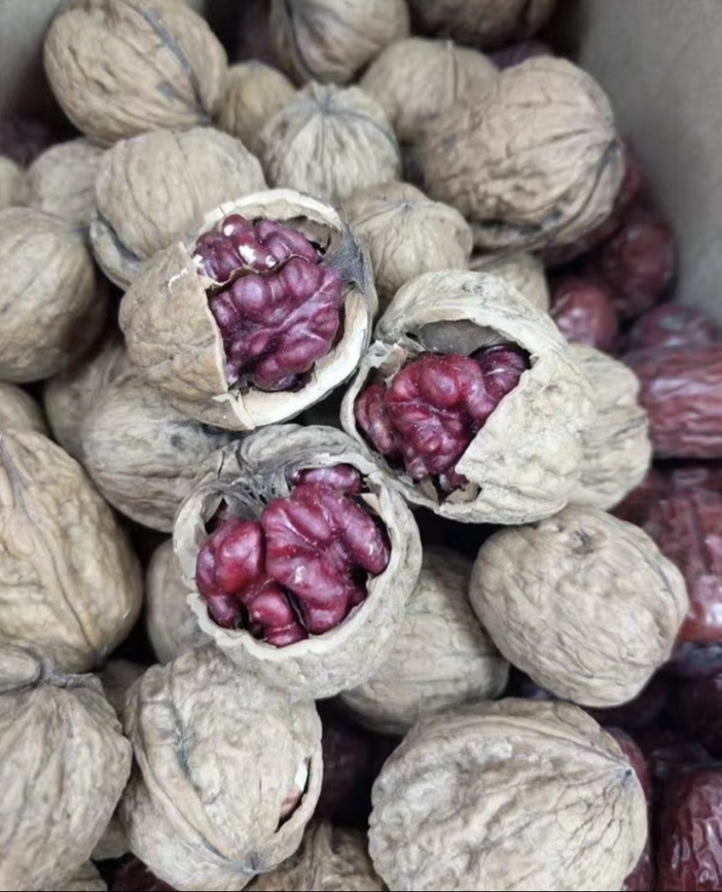 新品种红仁核桃苗嫁接核桃苗南北方种植当年结果热卖！