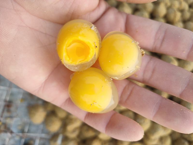 五香鹌鹑变蛋黄色鹌鹑皮蛋黑色质量保证欢迎咨询