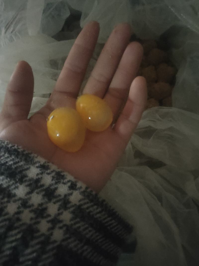 五香鹌鹑变蛋黄色鹌鹑皮蛋黑色质量保证欢迎咨询