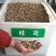 新采桂花种子沙藏金桂花丹桂花种子沉香桂种子四季桂朱砂