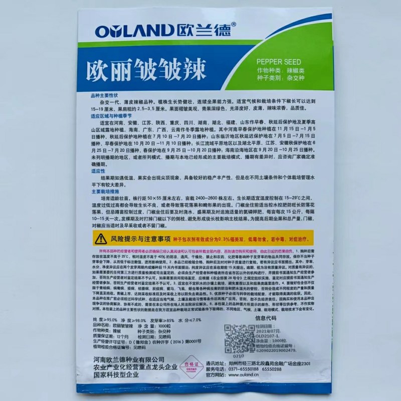 杂交一代薄皮辣椒种孑连续坐果强皮薄辣味浓香品质佳皱皮辣椒